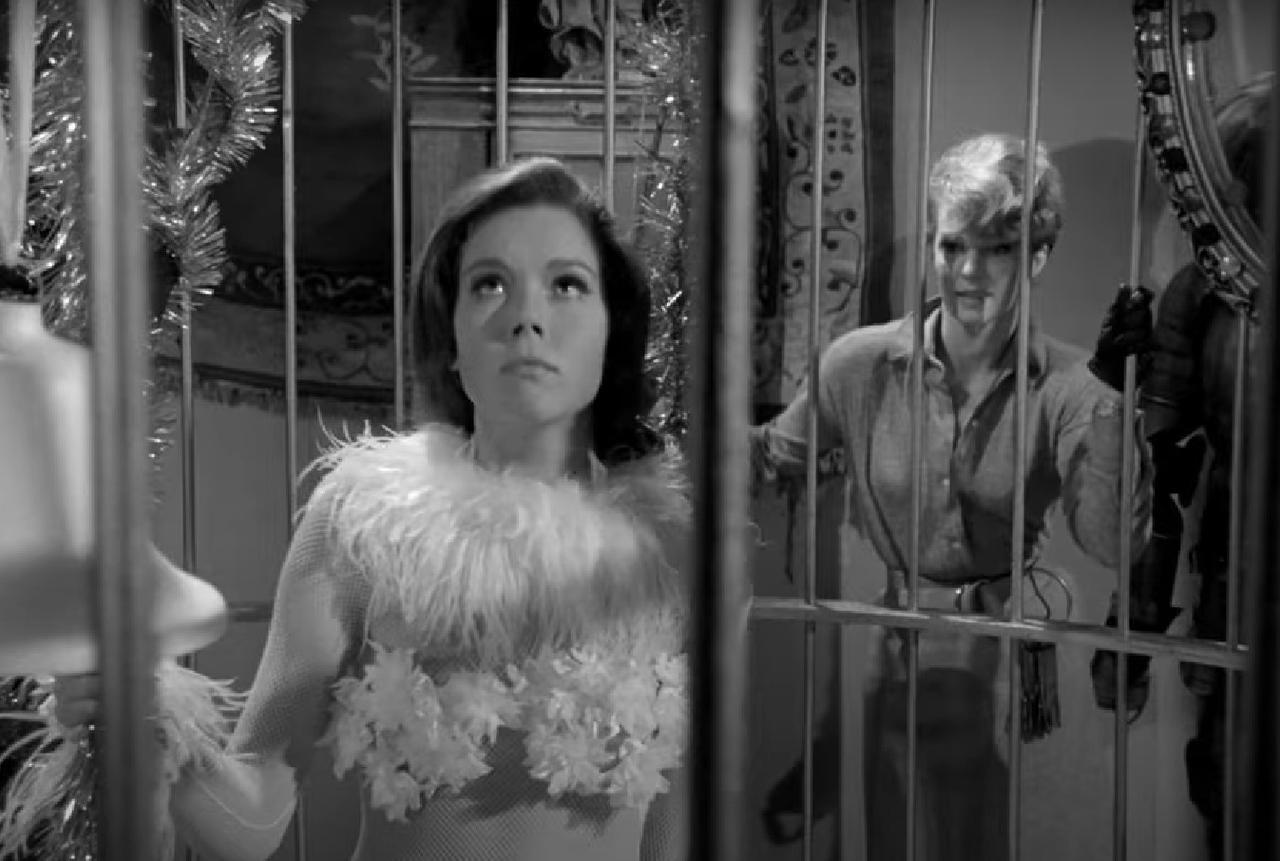 Diana Rigg held captive in a big birdcage by bertsknee on DeviantArt