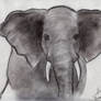 ElephantII