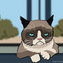 Grumpy Cat