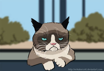 Grumpy Cat