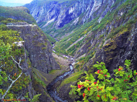 Eidfjord