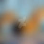 #NovaFurry(canine pussy) (43)