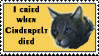 I cried when Cinderpelt