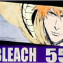 Bleach 555 : The Hero