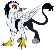 Black-Shouldered Kite Gryphon