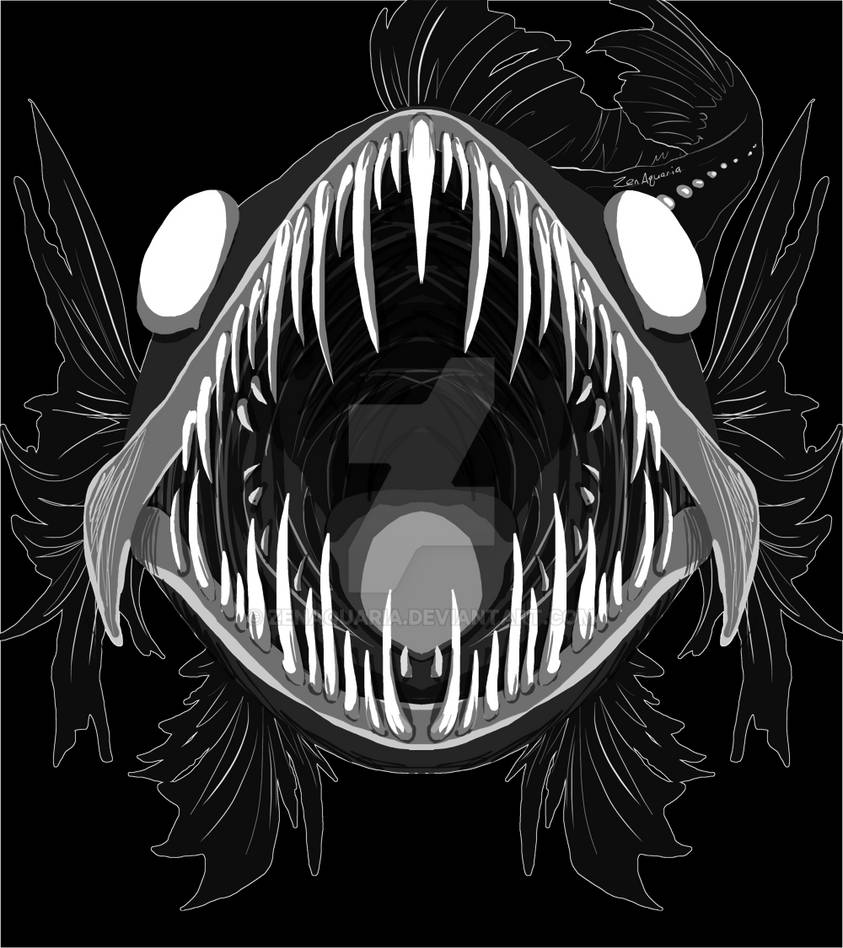 Toothy Fish by ZenAquaria on DeviantArt