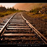 Gold Railroad...