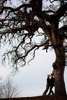 Under the Tree...