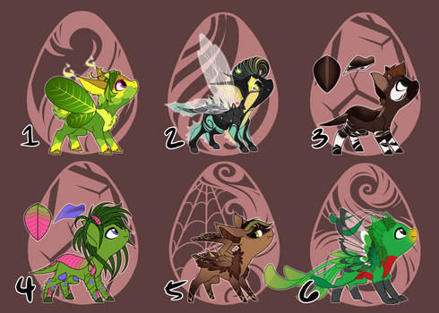 The Grotto - Rainforest Charity Adopt Set 1 (CLSD)