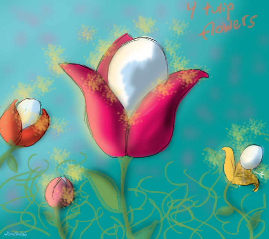 4 Tulip Flowers