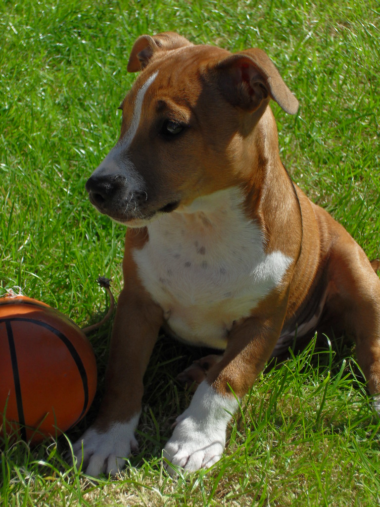 Sitting with his ball