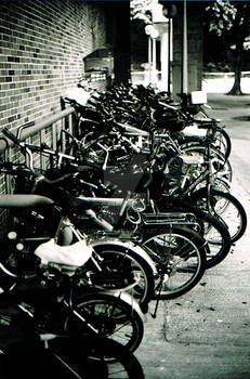 the hong kong bicycles