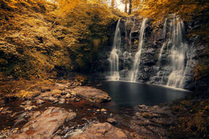 Glenariff Forest Park by Squirrelondope