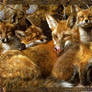 Full House Fox Family