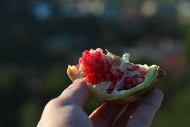 Fresh Pomegranate