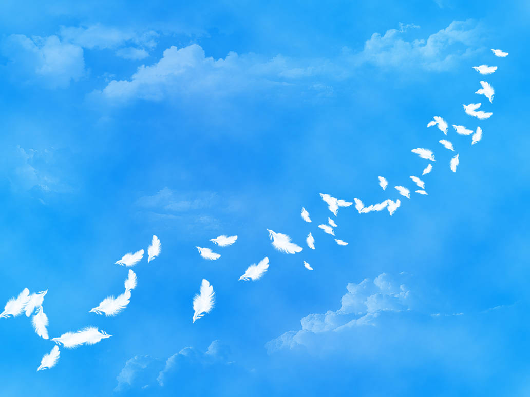 Bird Falling Deviantart falling feathers -WP- by 2Derevar on DeviantArt