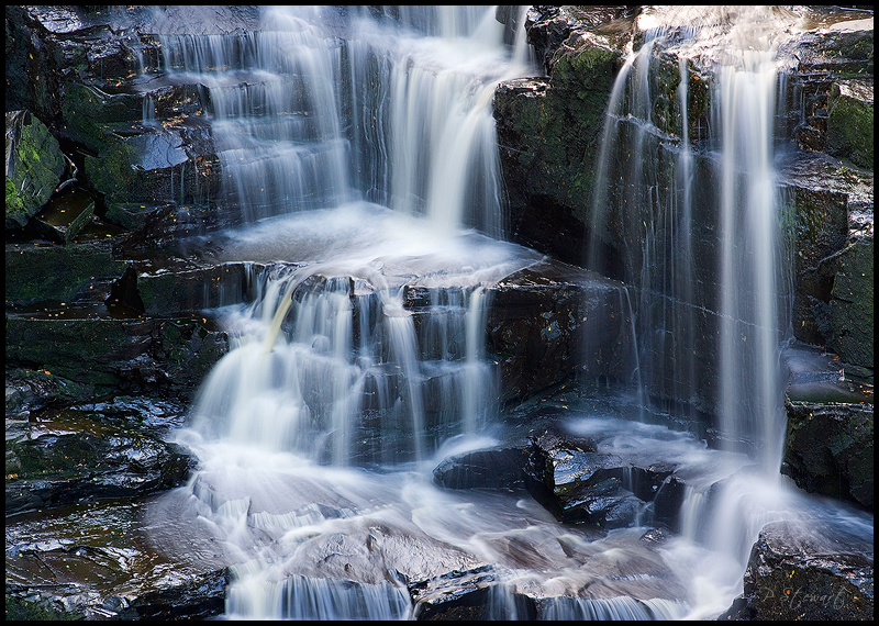 Corra Linn