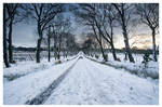 Winter Wonderland by FlippinPhil
