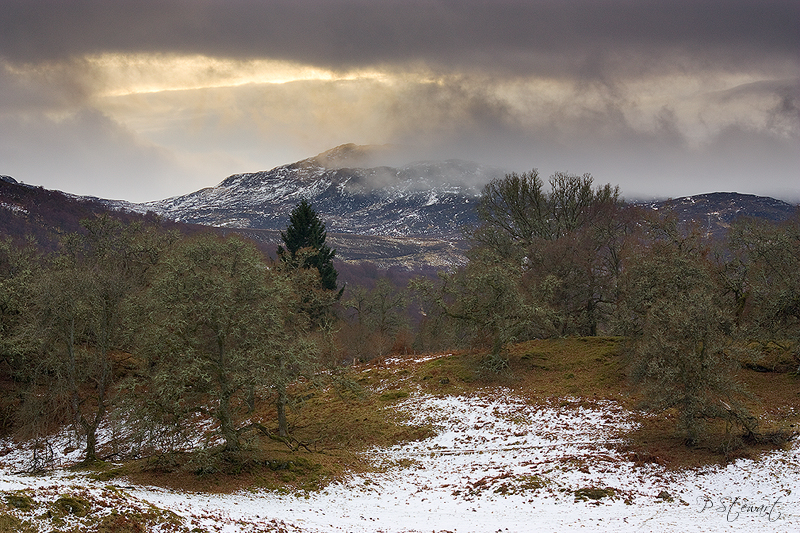 Schiehallion