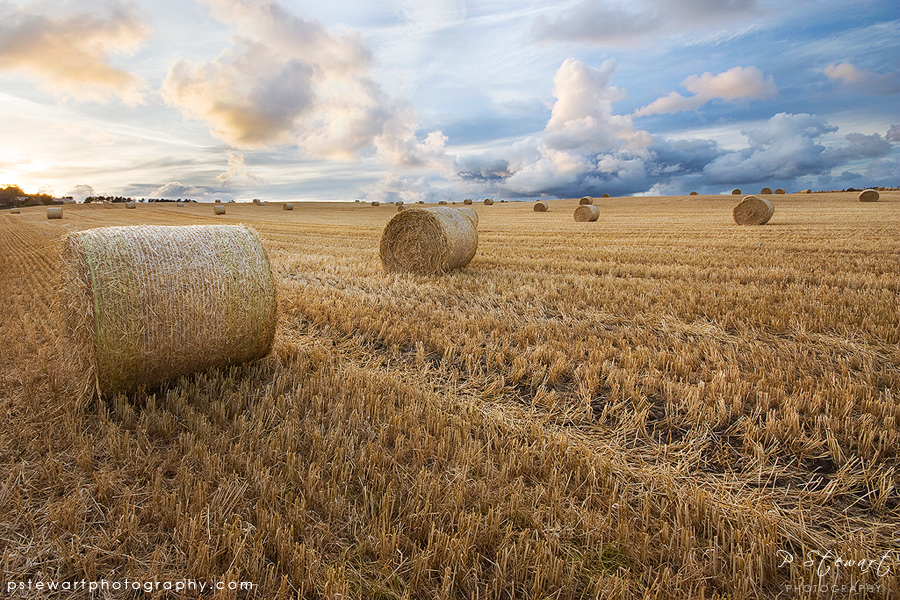 Dunnottar Hay Bales