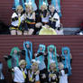 Vocaloid collecting