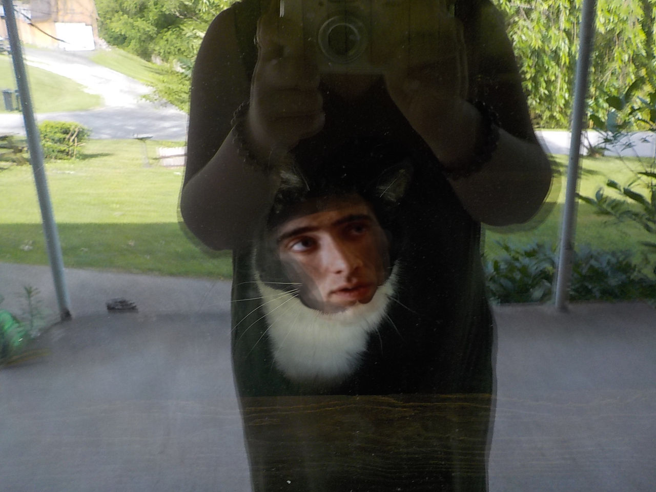 Nicolas Cage Cat 1 By JustALittleAmerican On DeviantArt nicolas-cage-cat-1-by-justalittleamerican-on-deviantart