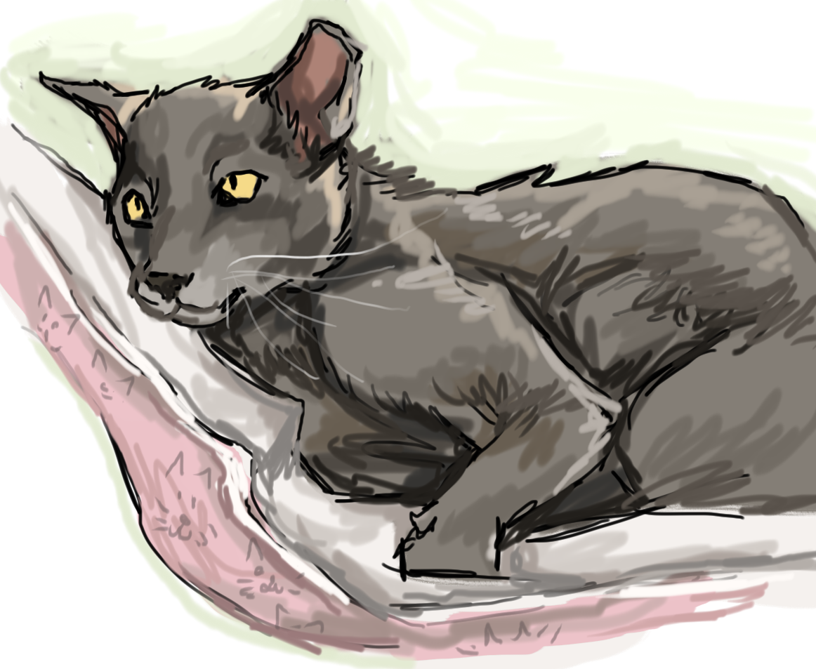Pretty kitty by JustALittleAmerican on DeviantArt
