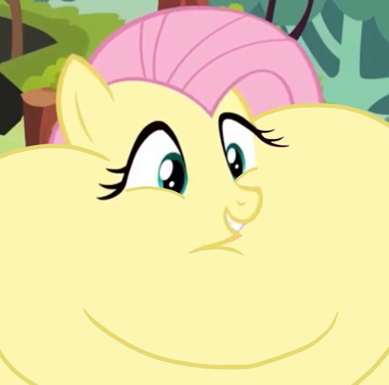 Pomy Fat Fat fluttershy edit by weenis07 on DeviantArt
