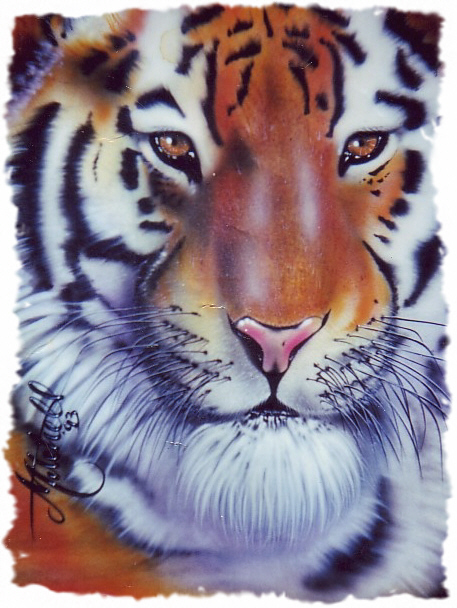 my tiger