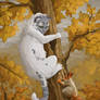 YCH