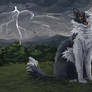 Thunderstorm YCH