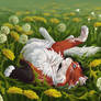 Dandelions