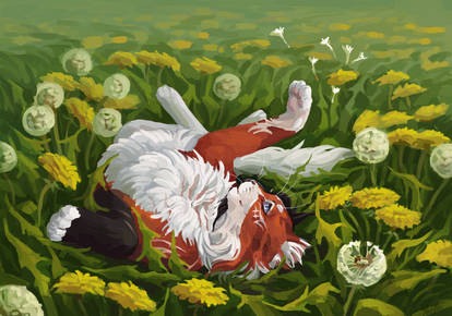 Dandelions