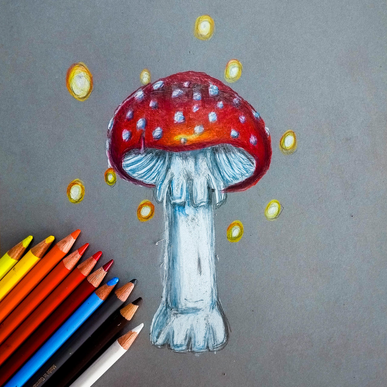 Pilz Zeichnung