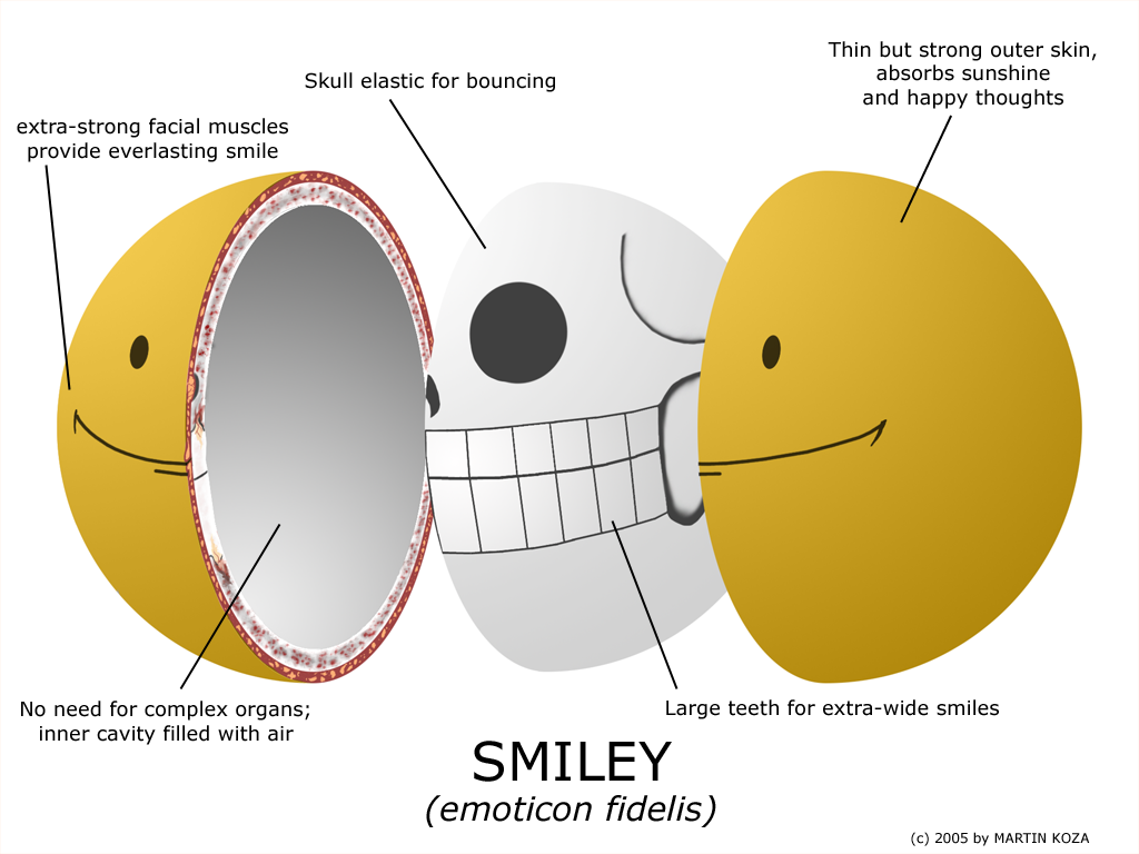 Anatomy of a Smiley