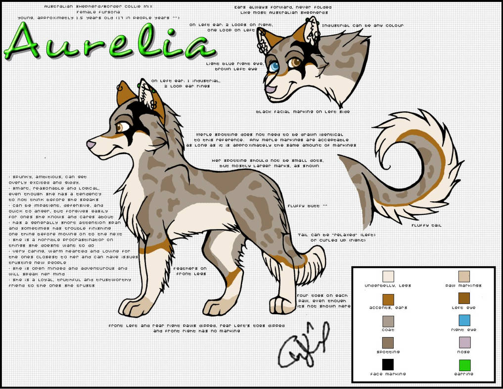 Aurelia Reference Fursona by block10 on DeviantArt