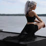 Black Cat 2 - stock