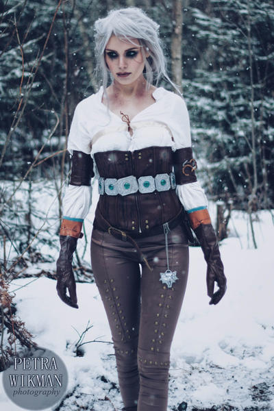 The Witcher - Zireael by Mirish