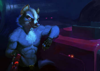 Wolf O'Donnell