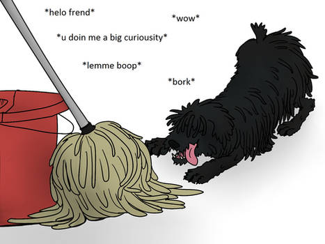 Puli meets mop