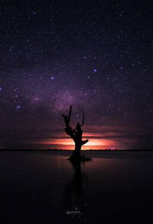 Last One Standing by Aquilapse Last One Standing by Aquilapse