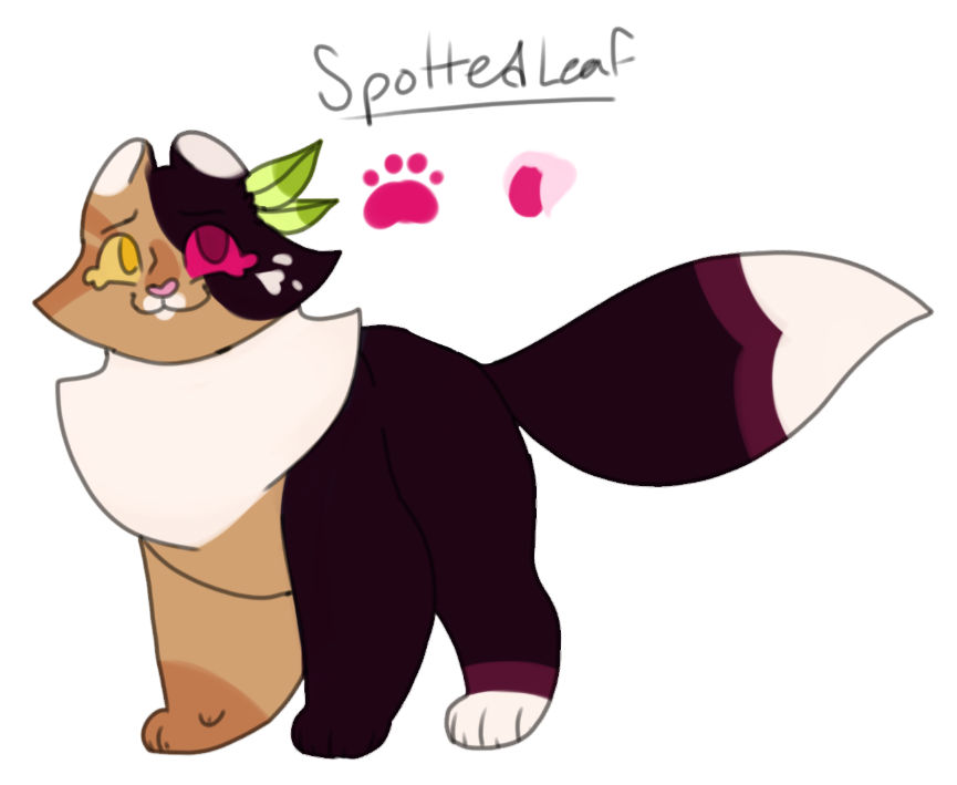 Spottedleaf Falling Warriors Spottedleaf Design by FinleyHunter on DeviantArt