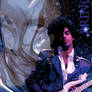 Prince Poster II