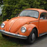 Type 1, Herbie