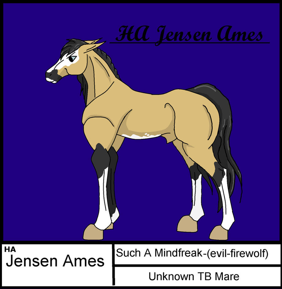 .:HA Jensen Ames:.