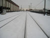 Tracks in the Snow