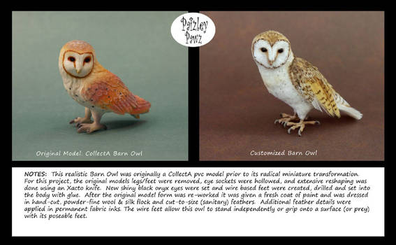 Customized Barn Owl model