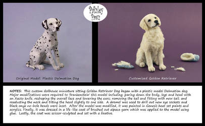 Customized plastic dog model to Golden Retriever