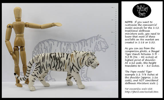 Model Tiger comparison to 1:12 scale