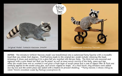 Customized miniature raccoon model